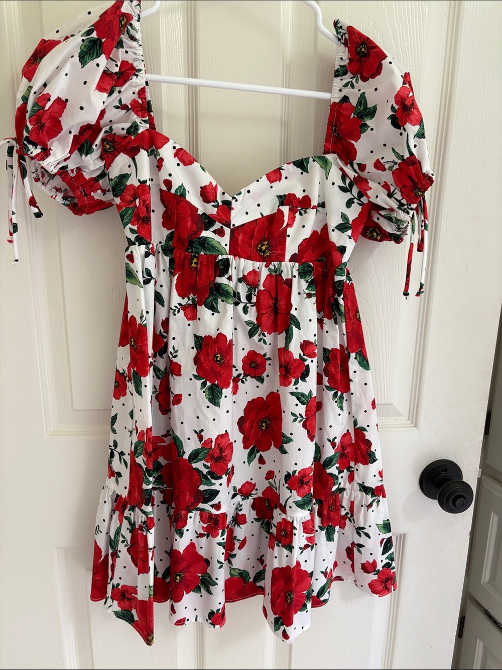 Olivaceous Red Floral Puff-Sleeve Mini Dress